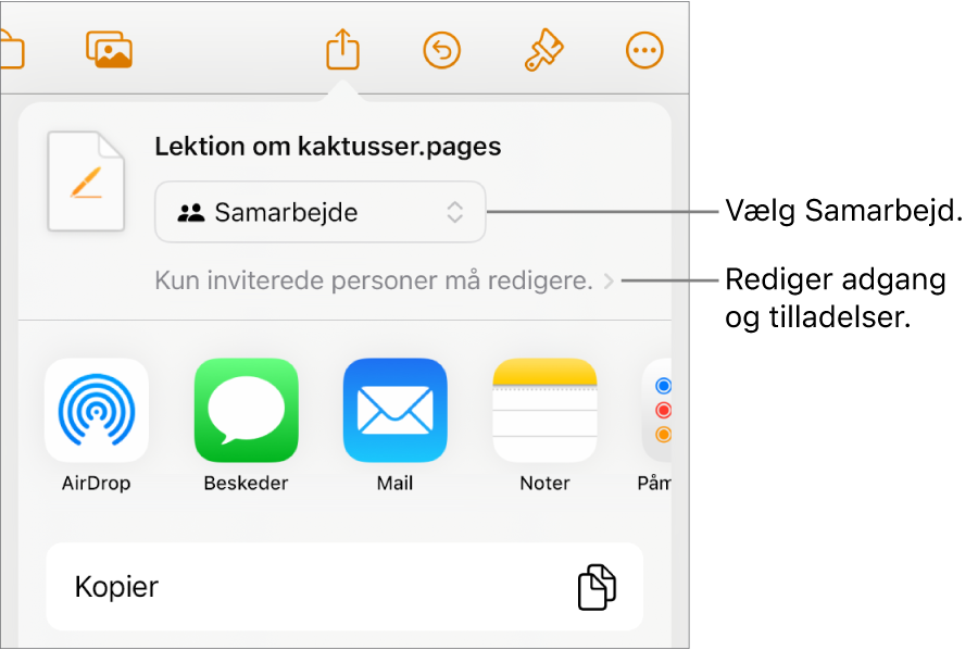 Menuen Del med Samarbejde valgt øverst og adgangs- samt tilladelsesindstillinger nedenunder.
