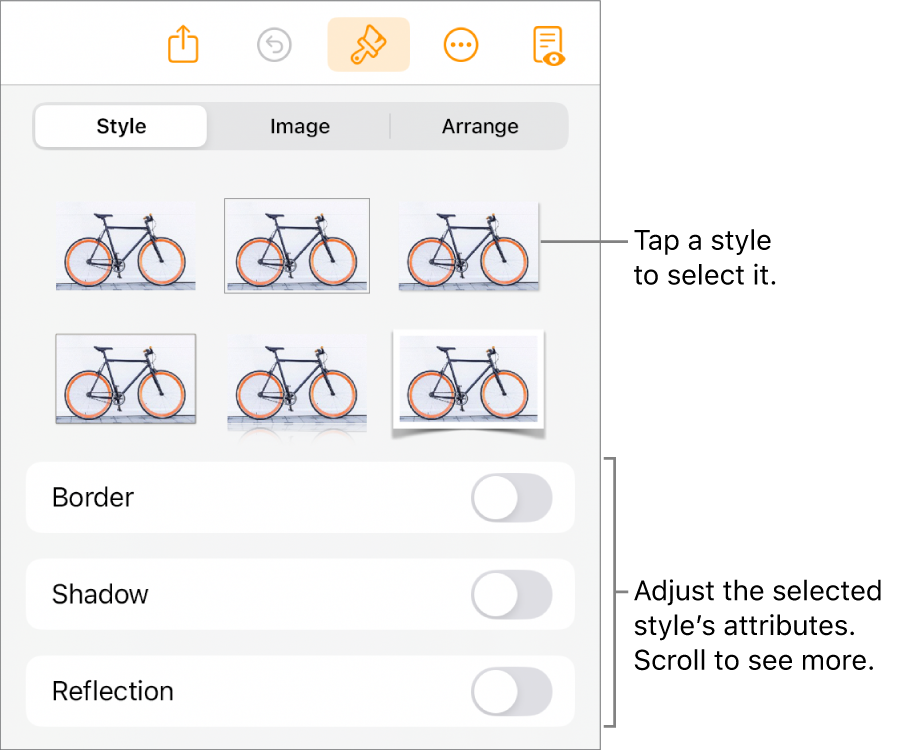 The Style tab of the Format menu with object styles at the top and controls below them to change the border, shadow, reflection and opacity.