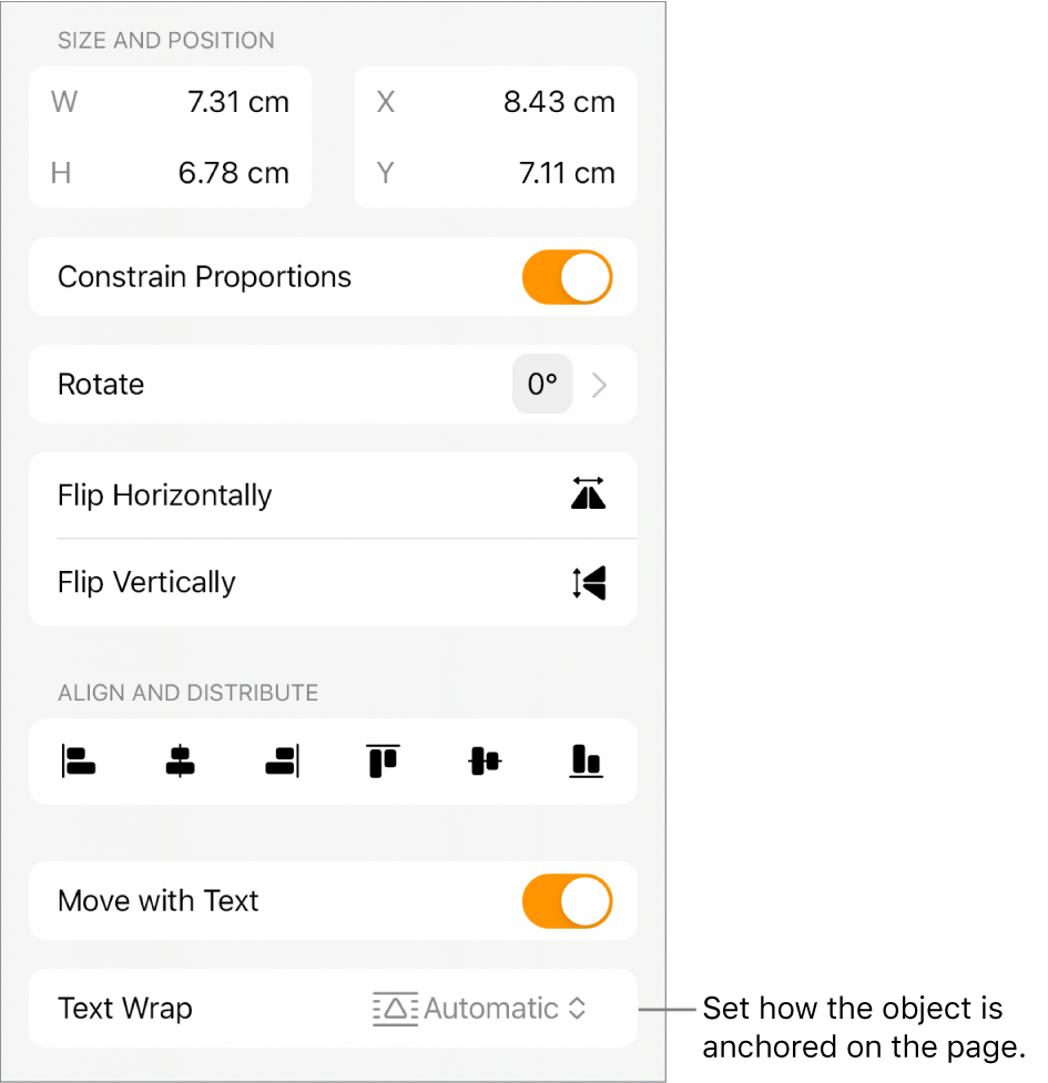 The Format controls with the Arrange tab selected and controls for Move to Back/Front, Move with Text and Text Wrap.