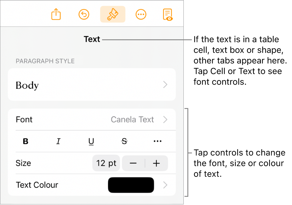 Text controls in the Format menu for setting paragraph and character styles, font, size and colour.