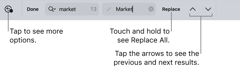 The Find & Replace controls above the keyboard with callouts to the Search Options, Replace, Go Up and Go Down buttons