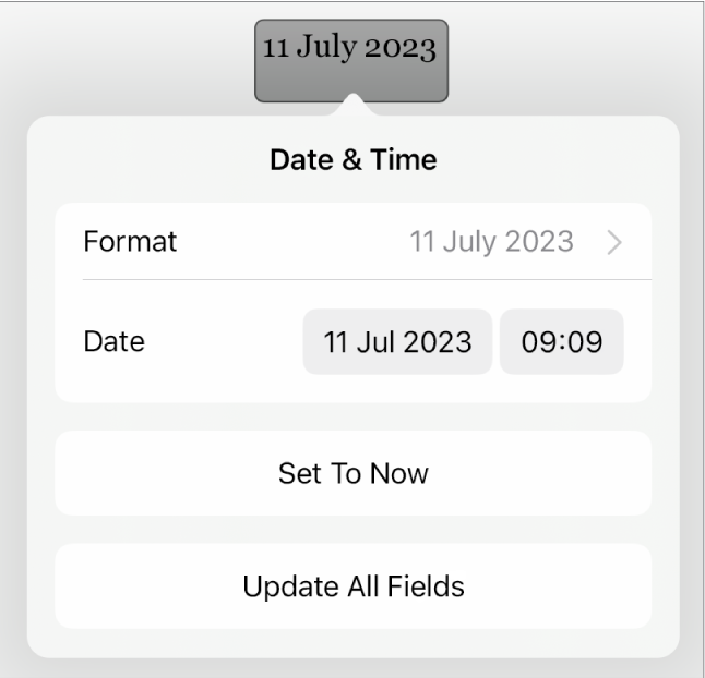 The Date & Time controls showing a pop-up menu for date Format, and Set to Now and Update All Fields buttons.