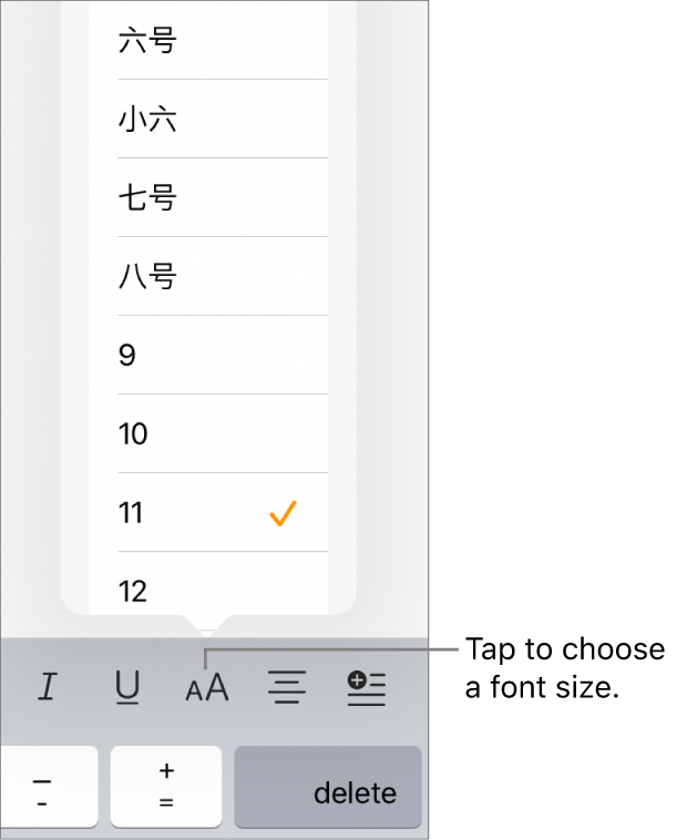 The Font Size button on the right side of the iPad keyboard with the Font Size menu open. China mainland government standard font sizes appear at the top of the menu with point sizes below.