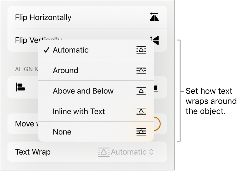 The Format controls with the Arrange tab selected. Below it are Text Wrap controls with Move to Back/Front, Move with Text, and Text Wrap.