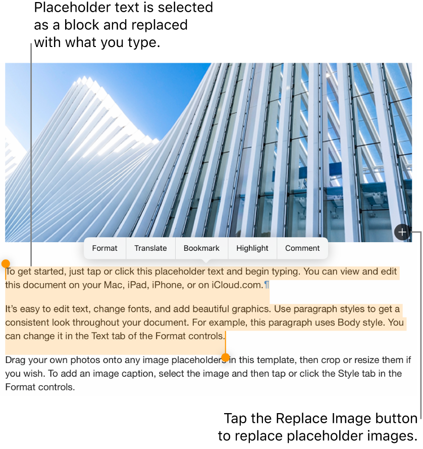 Placeholder text and images.