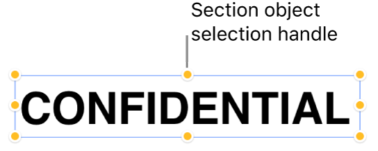 An object with selection handles.