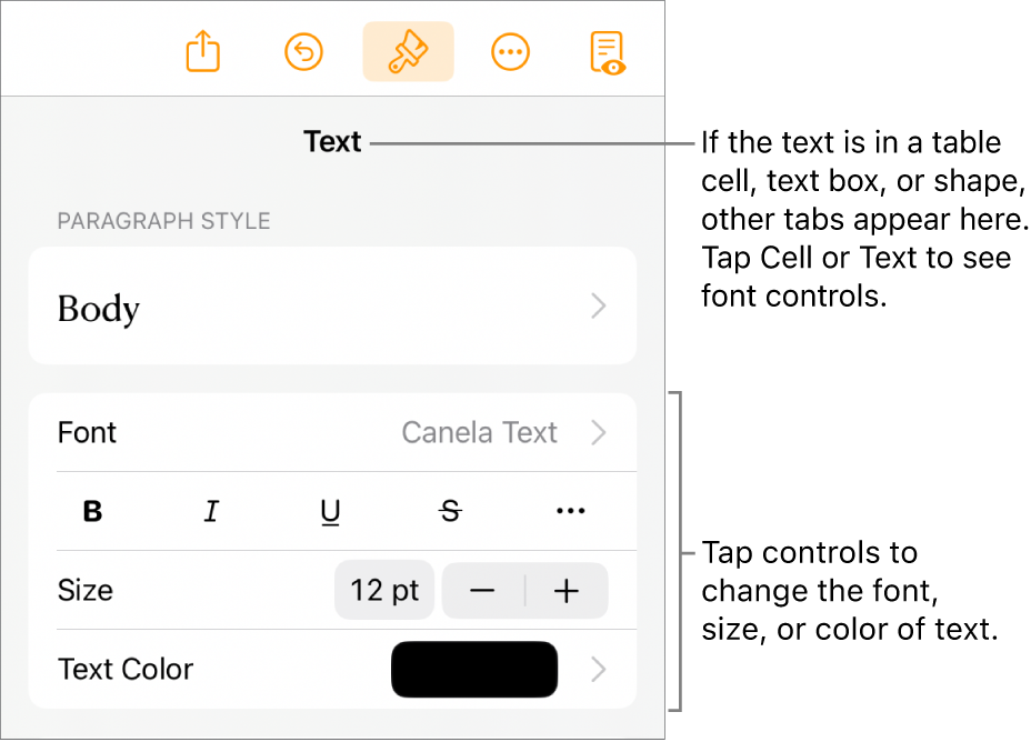 Text controls in the Format menu for setting paragraph and character styles, font, size, and color.