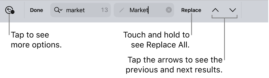 The Find & Replace controls above the keyboard with callouts to the Search Options, Replace, Go Up, and Go Down buttons