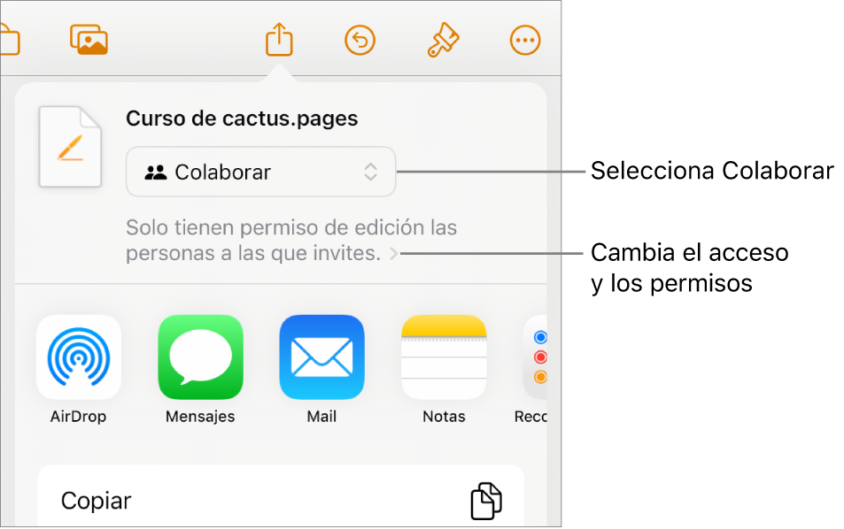 El menú Compartir con la opción Colaborar seleccionada en la parte superior y los ajustes de acceso y permisos debajo.