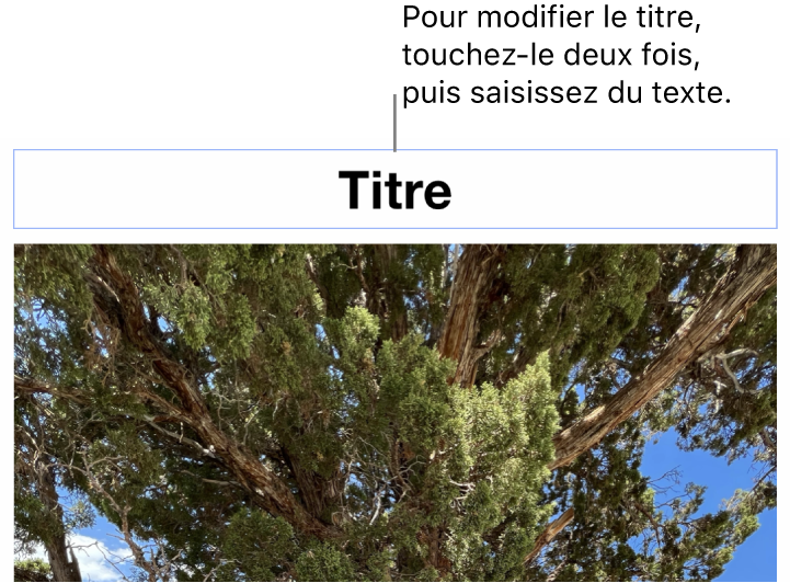 Le paramètre fictif de titre, « Titre », s’affiche sous une photo; un contour bleu autour du champ de titre indique qu’il est sélectionné.