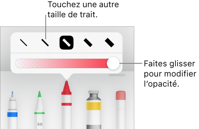 Commandes de sélection de taille de trait et curseur d’ajustement de l’opacité.