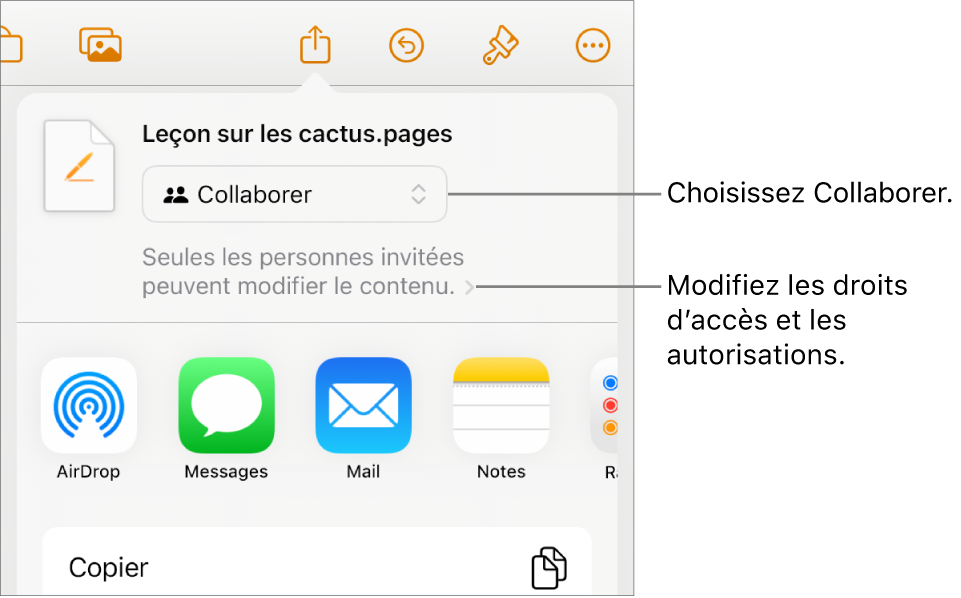 Le menu Partager avec l’option Collaborer sélectionnée dans le haut, au-dessus des réglages d’accès et d’autorisation.