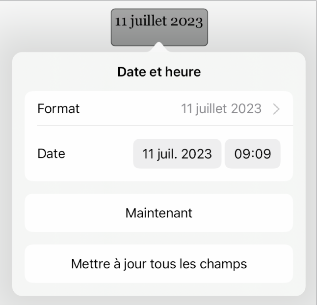 Les commandes Date et heure affichant un menu local pour le format de date, ainsi que des boutons Maintenant et Mettre à jour tous les champs.