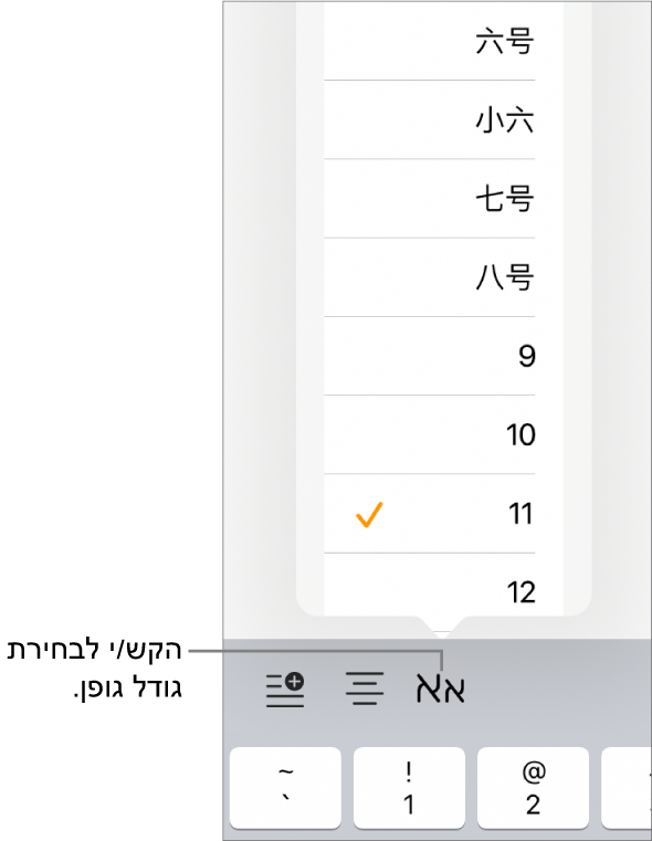 הכפתור ״גודל גופן״ מימין למקלדת ה‑iPad עם התפריט ״גודל גופן״ פתוח. גדלי הגופן התקניים על פי ממשלת סין מיינלנד יופיעו בראש התפריט. מתחת להם יוצגו הגדלים בנקודות.