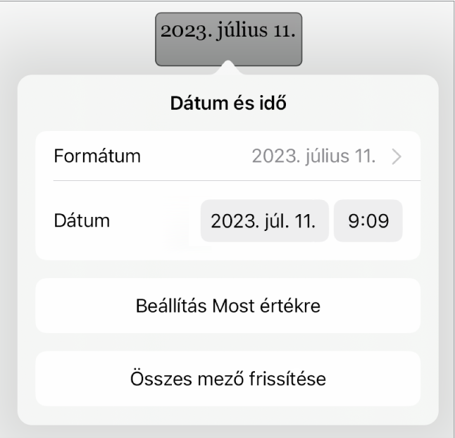 A Dátum és idő vezérlők a Dátumformátum, a Beállítás Most értékre és az Összes mező frissítése gombok felugró menüjével.
