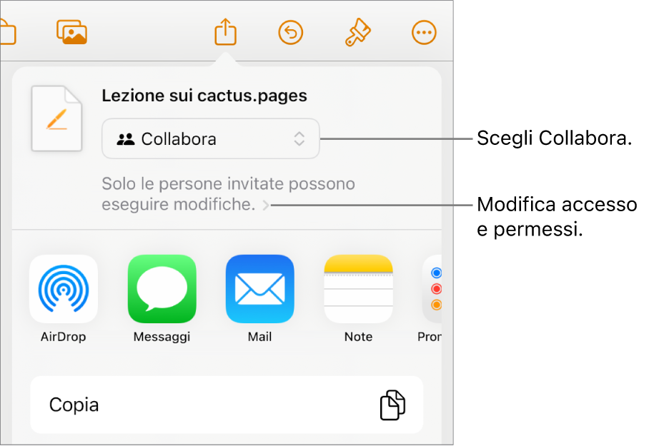 Il menu di condivisone con l’opzione Collabora selezionata in alto e le impostazioni di accesso e dei permessi sotto.