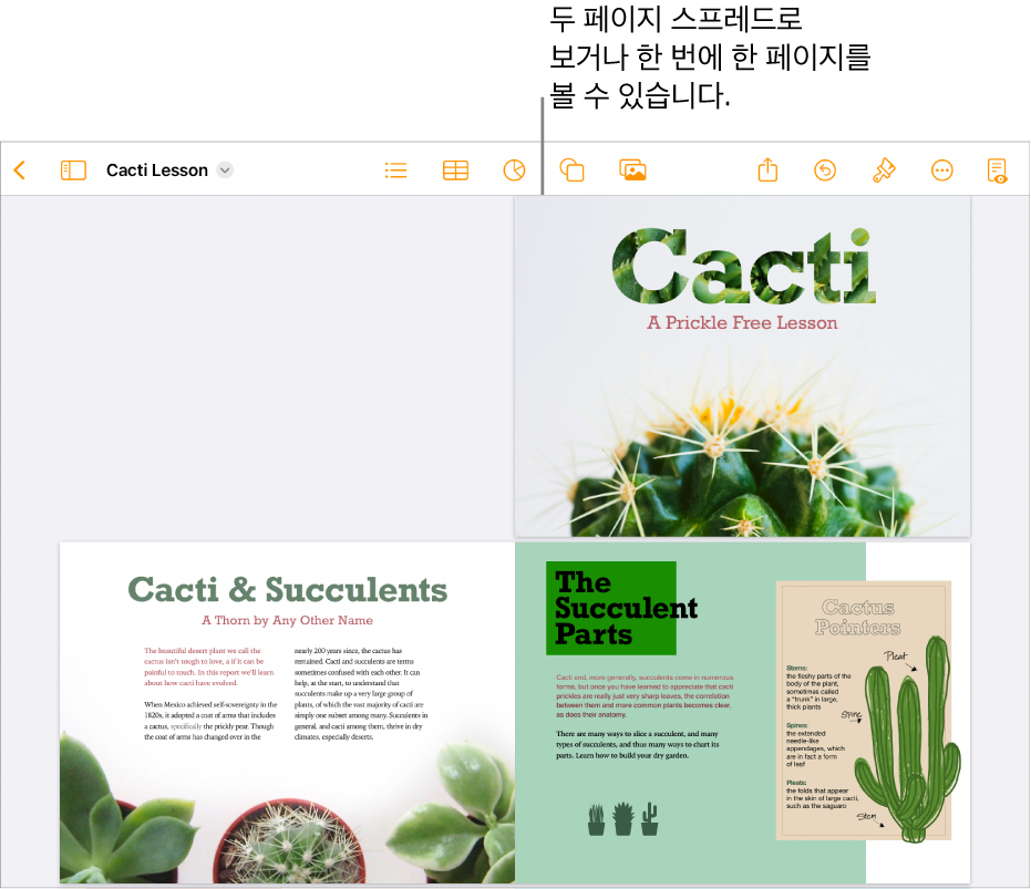 두 페이지 스프레드가 보이는 문서.