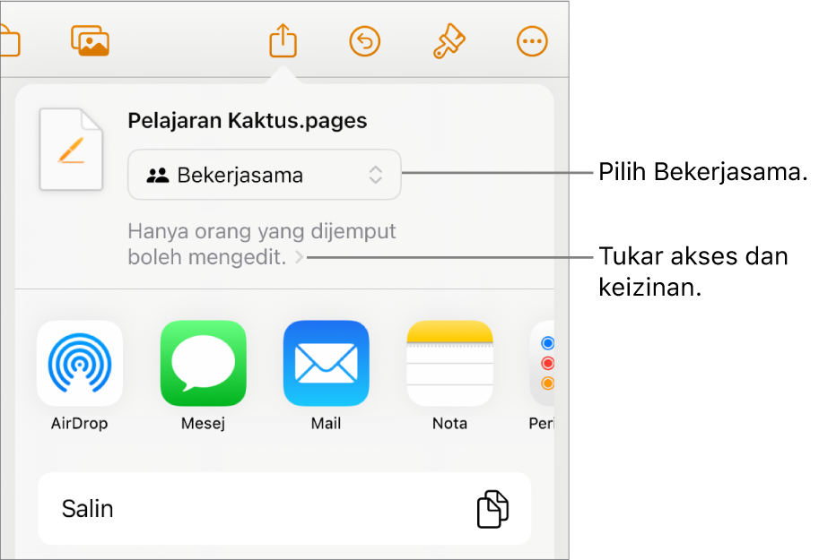 Menu Kongsi dengan Bekerjasama dipilih di bahagian atas dan seting akses serta keizinan di bahagian bawah.