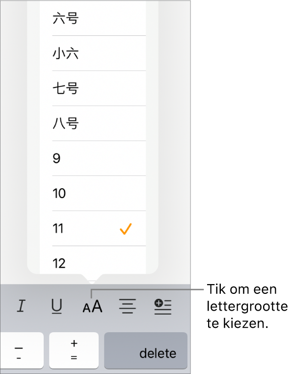 De lettergrootteknop aan de rechterkant van het toetsenbord van de iPad met het lettergroottemenu geopend. De lettergrootten die door de overheid van het vasteland China zijn voorgeschreven staan boven in het menu, gevolgd door puntgrootten.