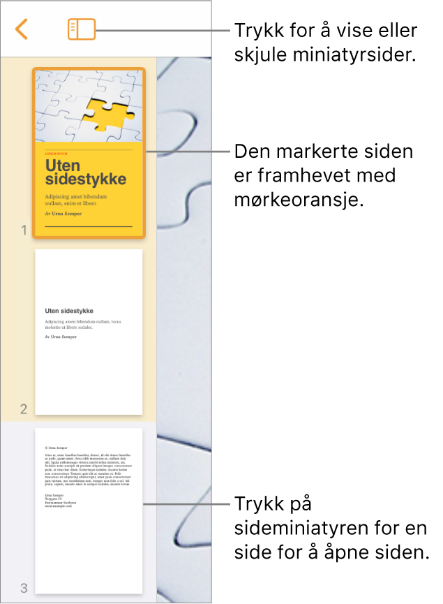 Sideminiatyrvisning på venstre side av skjermen med én side markert. Visningsvalg-knappen er over miniatyrene.