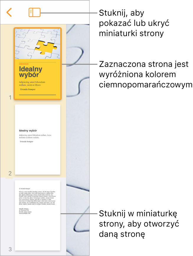 Widok miniaturek stron po lewej stronie ekranu. Zaznaczona jest jedna strona. Nad miniaturkami widoczny jest przycisk Opcje widoku.