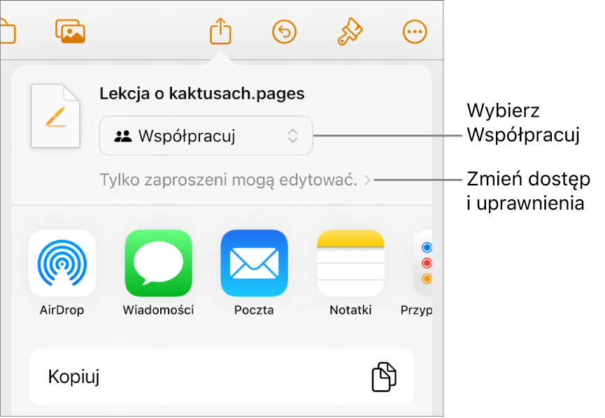 Menu udostępniania z opcją Współpracuj wybraną u góry oraz ustawieniami dostępu i uprawnień poniżej.