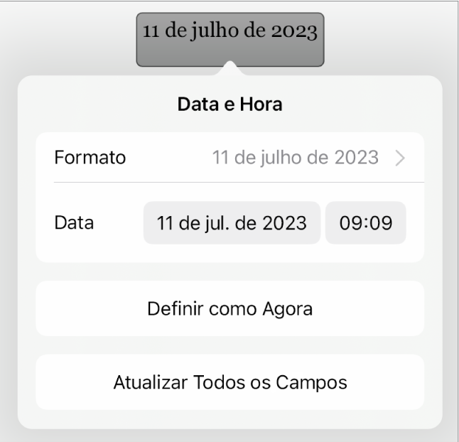 Controles de Data e Hora mostrando um menu pop-up para Formatar data e os botões Definir como Agora e Atualizar Todos os Campos.