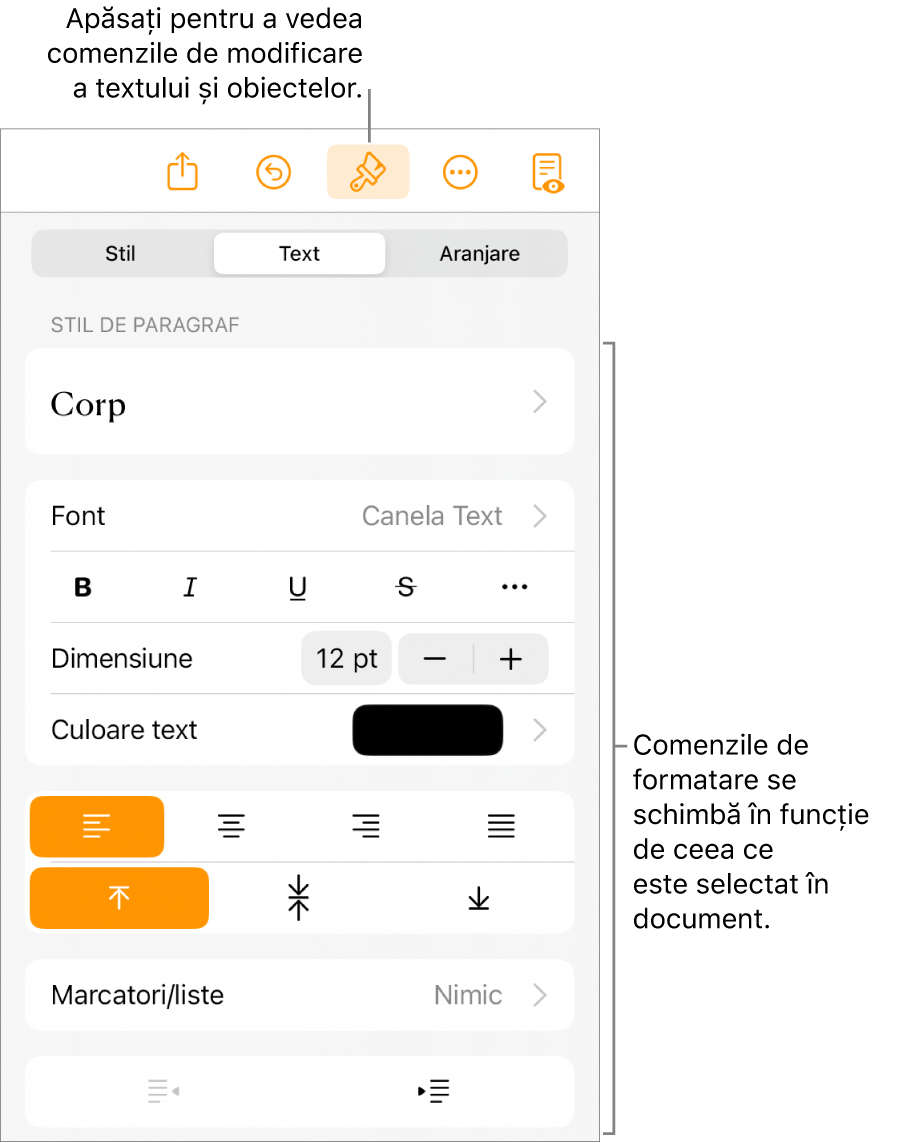 Comenzile Format deschise și afișând comenzile pentru schimbarea stilului de paragraf, modificarea fonturilor și formatarea spațierii fonturilor. Explicațiile din partea de sus indică butonul Format din bara de instrumente, iar în partea dreaptă a acestuia, butonul Inserați pentru a adăuga obiecte pe pagină.