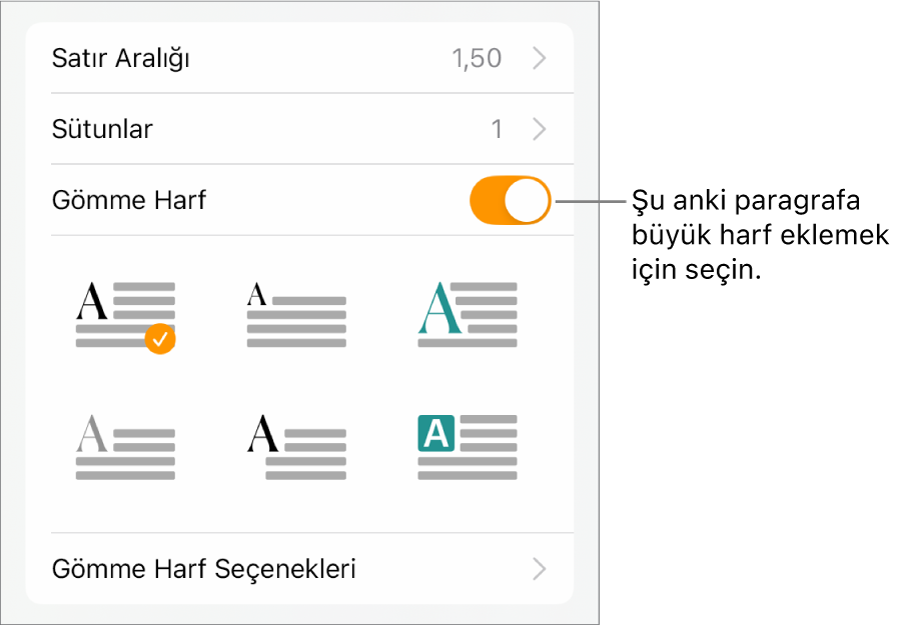Metin menüsünde yer alan İlki Büyük Harf denetimleri.