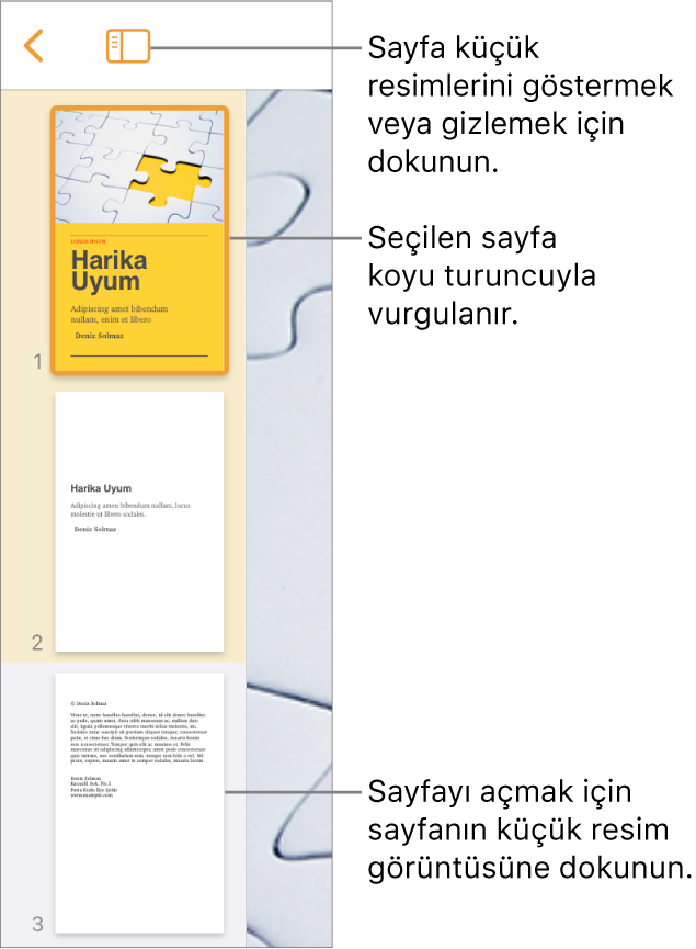 Ekranın sol tarafında; iki sayfalık bir bölüm, ayırıcı çizgi ve bir sonraki bölümün ilk sayfasıyla Sayfa Küçük Resimleri görüntüsü. Görüntü düğmesi, küçük resimlerin üst tarafındadır.