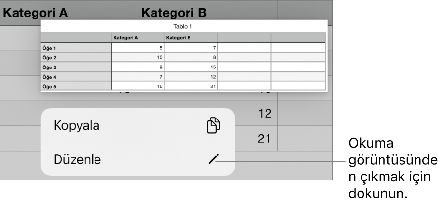 Bir tablo hücresi seçilir, üstünde Kopyala ve Düzen düğmeleri ile bir menü bulunur.