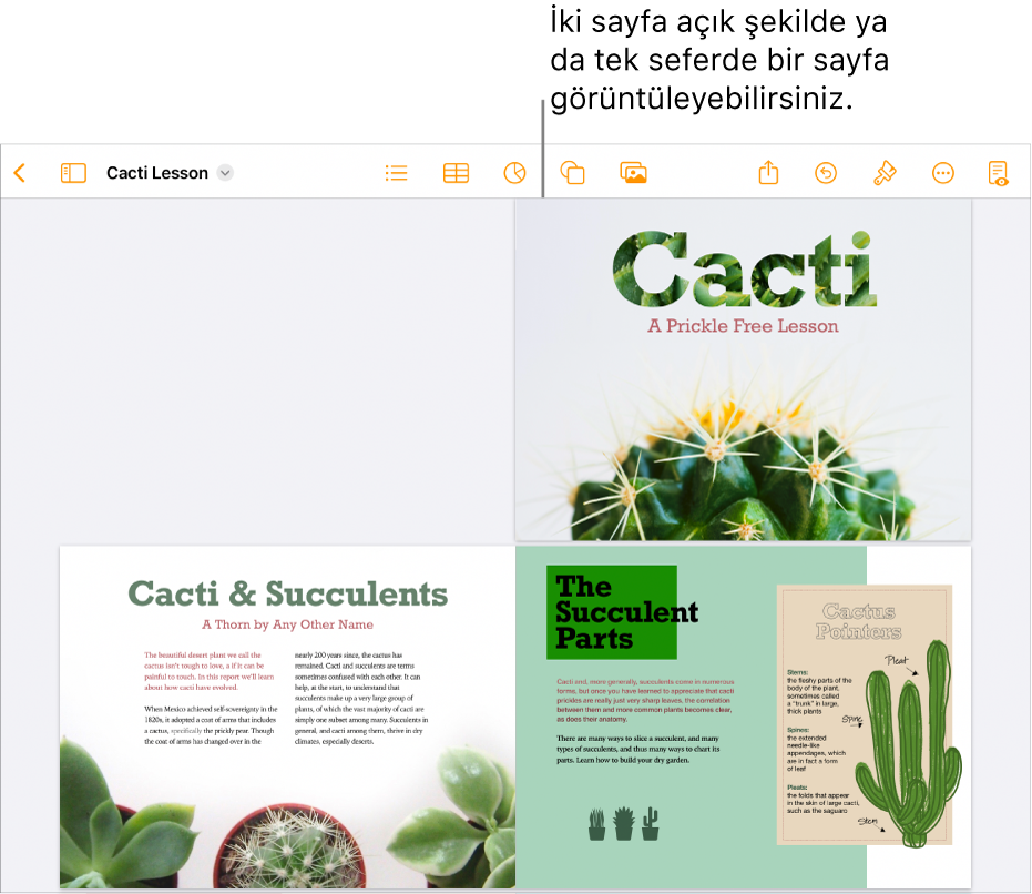 Birbirine bakan iki sayfa olarak görüntülenen sayfalara sahip bir belge.