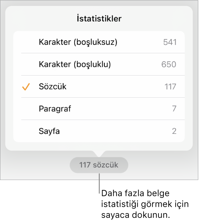 Boşluksuz ve boşluklu karakter sayısını, sözcük sayısını, paragraf sayısını ve sayfa sayısını gösterme seçeneklerini gösteren menüyle sözcük sayacı.