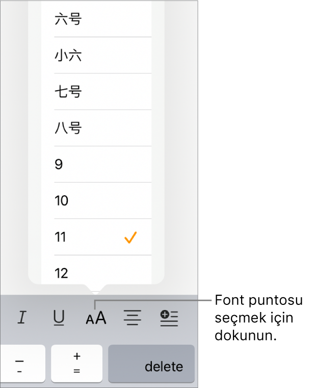 iPad klavyesinin sağ tarafında, Font Puntosu menüsü açık olarak gösterilen Font Puntosu düğmesi. Çin ana karası hükümeti standardındaki font puntoları menünün en üst kısmında, diğer puntolar ise bunun altında görünür.