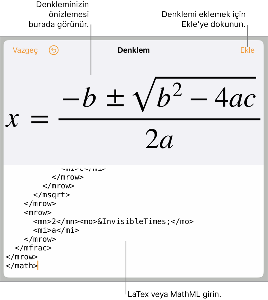 MathML komutları kullanılarak yazılmış bir denklemi ve onun üstünde formülün önizlemesini gösteren Denklem sorgu kutusu.