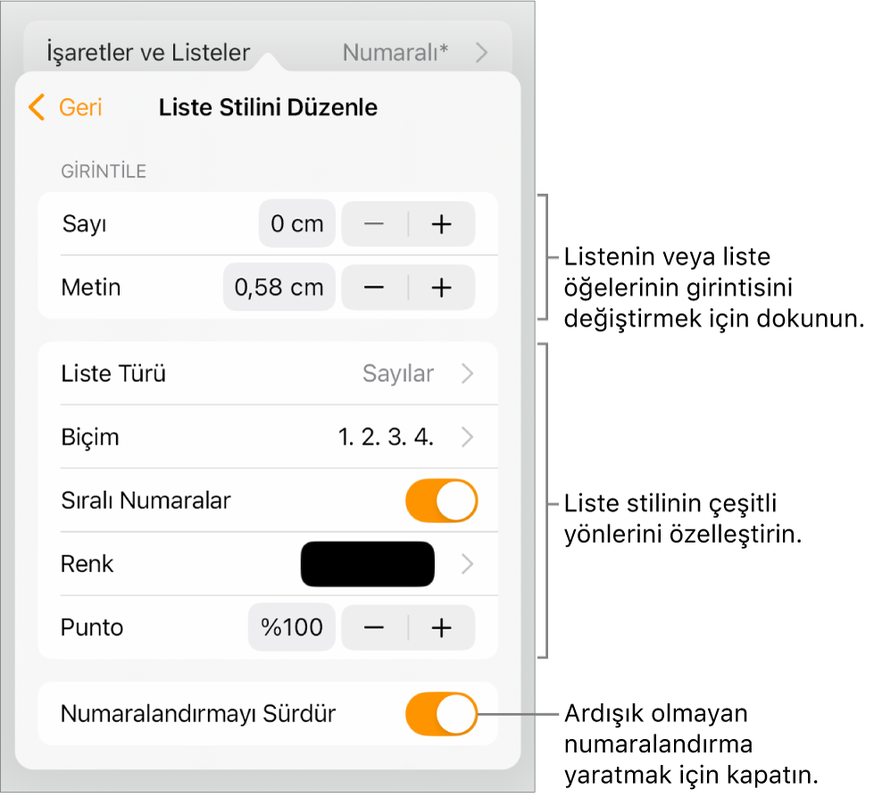 Girinti aralığı, liste türü ve biçimi, katmanlı sayılar, liste rengi ve büyüklüğü ve devamlı numaralandırma denetimleri ile Liste Stilini Düzenle menüsü.