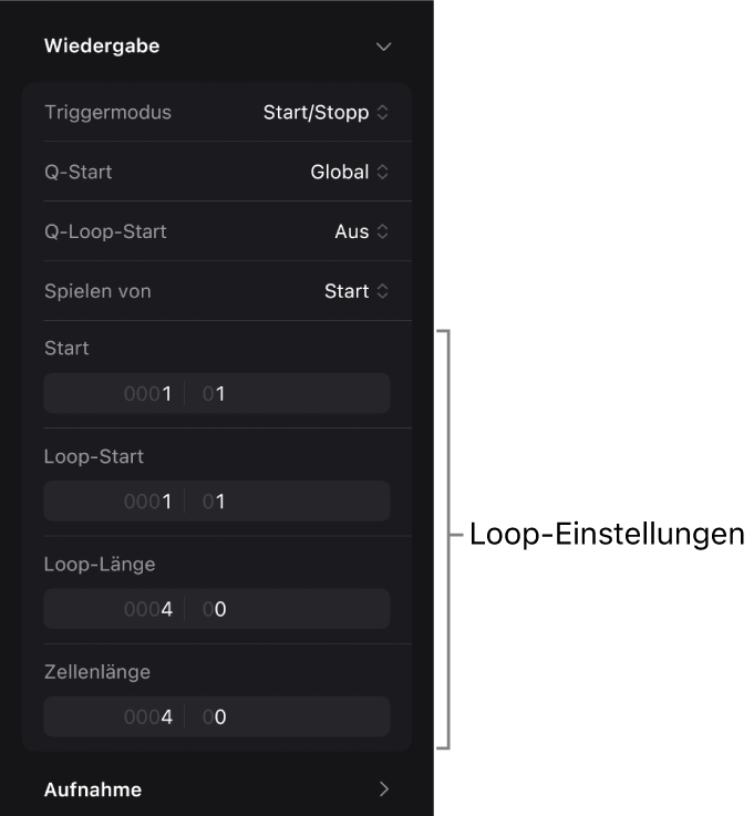 Abbildung. Loop-Einstellungen im Informationsfenster „Zelle“.