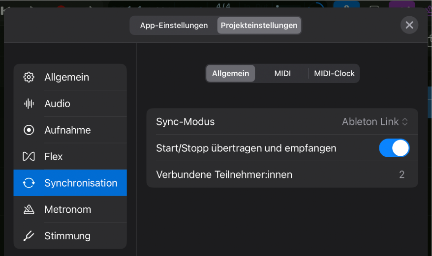 Projekteinstellungen „Allgemeine Synchronisation“