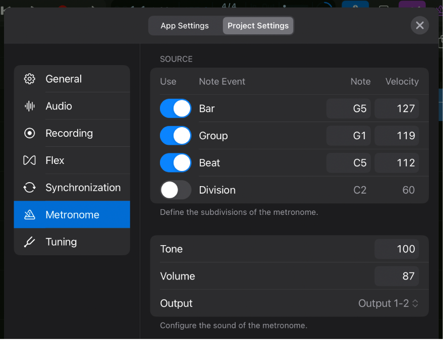 Metronome project settings.