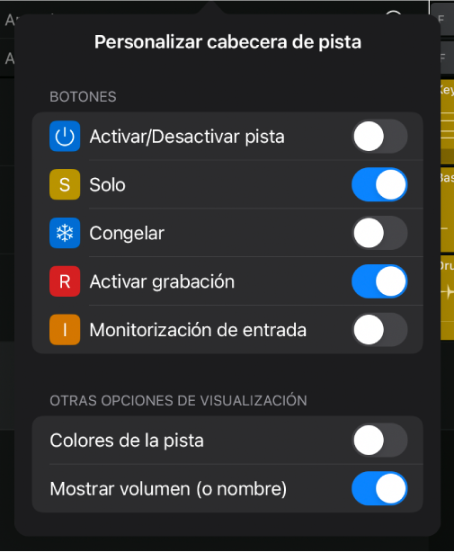 Ilustración. Ventana “Personalizar cabecera de pista” con los botones disponibles y otras opciones de visualización.