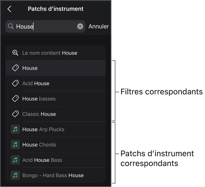 Figure. Résultats de la recherche suggérés pour le mot-clé « Maison » dans la présentation « Patchs d’instrument » du navigateur.