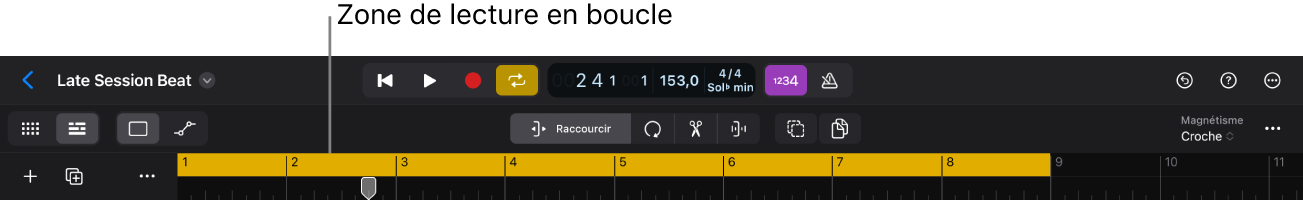 Figure. Haut de la zone Pistes affichant la zone de lecture en boucle active, avec le bouton Cycle dans la barre des commandes.