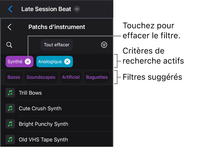 Figure. Présentation « Patchs d’instrument » dans le navigateur montrant les critères de recherche actifs et les filtres suggérés.