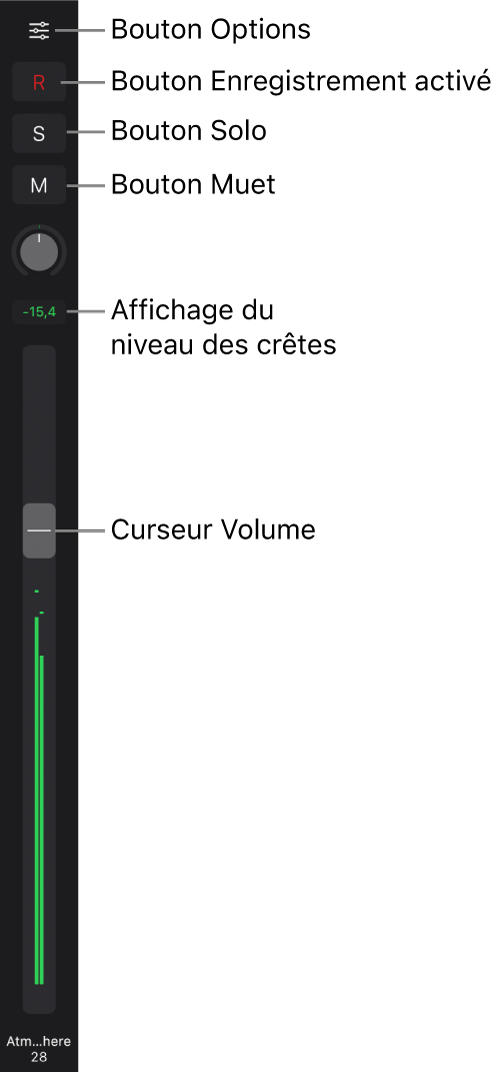 Figure. Curseur affichant le bouton Options, le bouton « Activer l'enregistrement », les boutons Solo et Muet, le potentiomètre Pan/Balance, l’affichage du niveau de crête et le curseur Volume.