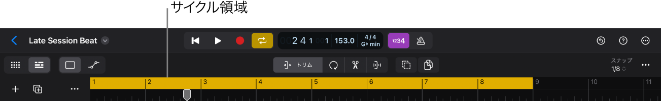 図。トラック領域の上部にアクティブなサイクル範囲が表示されていて、コントロールバーに「サイクル」ボタンが表示されています。