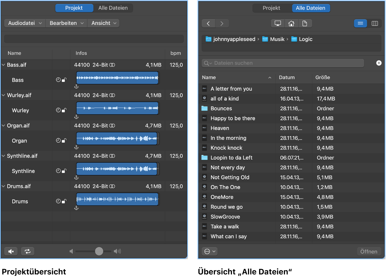 Abbildung. Projektaudioübersicht und Übersicht „Alle Dateien“