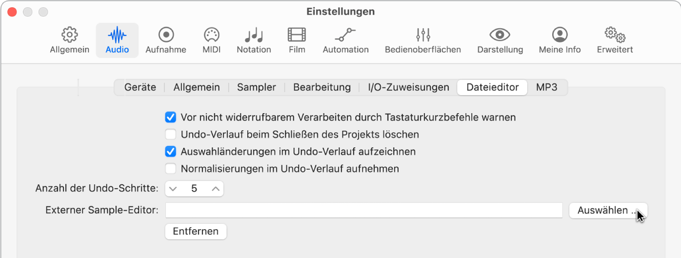 Abbildung. Bereich „Dateieditor“ in den Audioeinstellungen