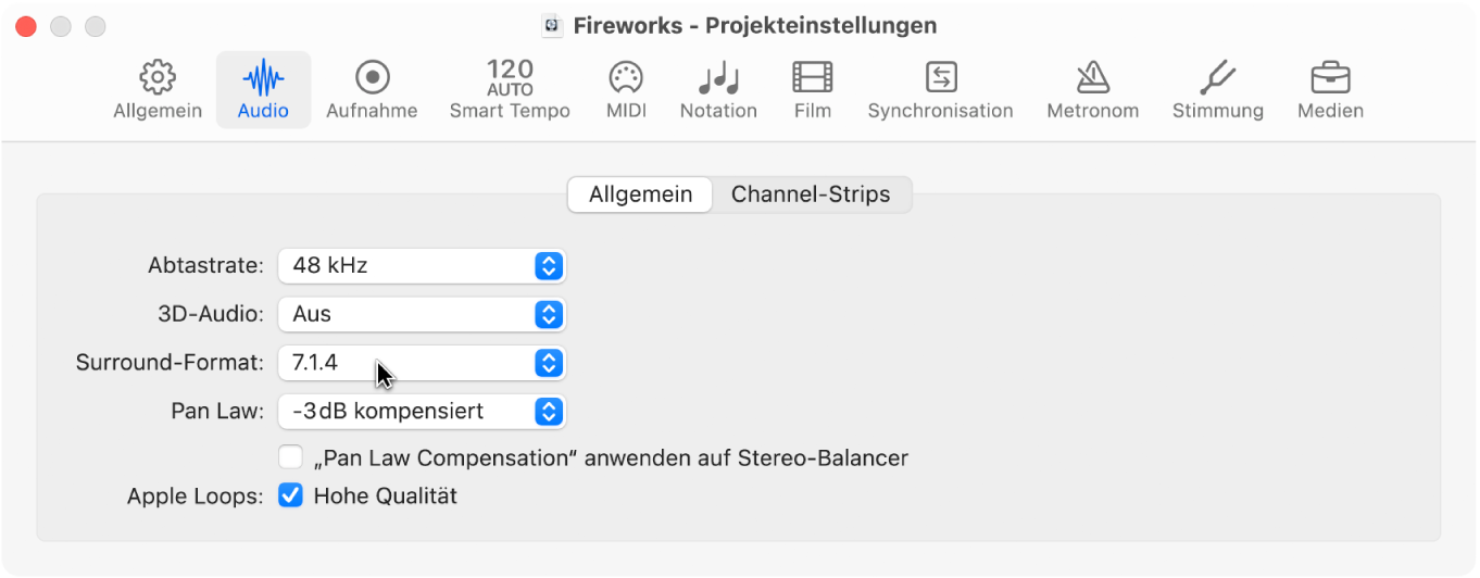 Abbildung. Bereich „Audio“ der Projekteinstellungen