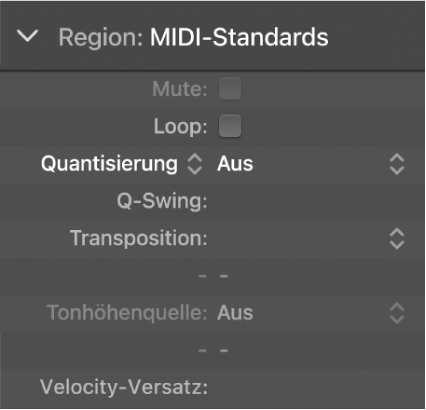 Abbildung. Parameter „Quantisierung“ im Informationsfenster „Region“