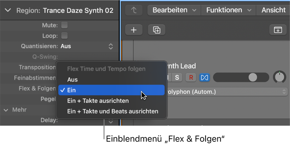 Abbildung. Das Menü „Flex & Folgen“ im Informationsfenster „Region“